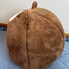 猫　、ペット
ハウス　の画像