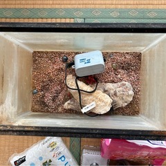 水槽、観賞魚用ホワイトサンド、メダカの砂の画像