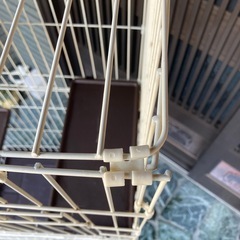 【中古】猫用ゲージの画像