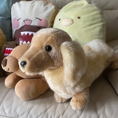 ぬいぐるみセット／NHKどーもくんすみっコぐらしダックス犬など9個　中古の画像