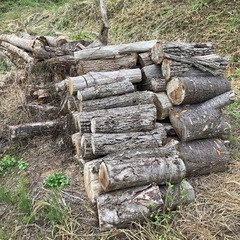 薪　(まき
)の画像