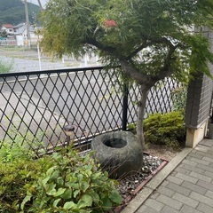 和風庭園　天然石つくばい　無料で差し上げますの画像