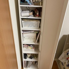 収納付姿鏡の画像