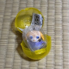 断捨離の画像