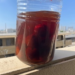 杏酒？おばあちゃんが作ったものです。の画像