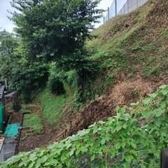 No.J656【長崎県諫早市】山林2筆・原野1筆あげます！