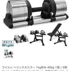(手渡し限定)ライシン ヘリックスミラー 1kg刻み 40kg　2個の画像