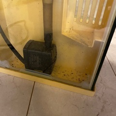 GEX 水槽の画像
