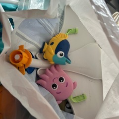 ニモジャンパルーの画像