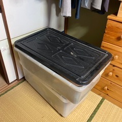 服　レディースの画像