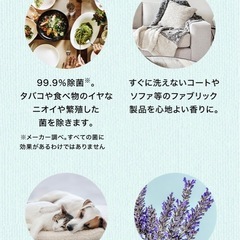 《未使用》衣類・布製品 消臭剤 ラボン ル ランジェ 40ml の画像