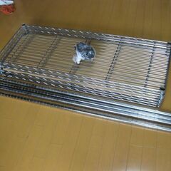 エレクタ　金属製オープンシェルフの画像