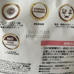 ELMO 子猫用キャットフード　2kg 400gの画像