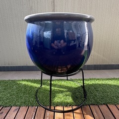 睡蓮鉢の画像