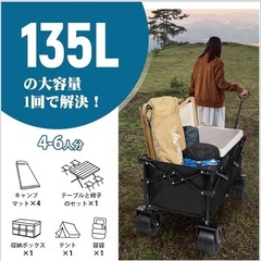 キャリーワゴンの画像