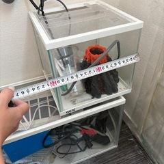 水槽の画像