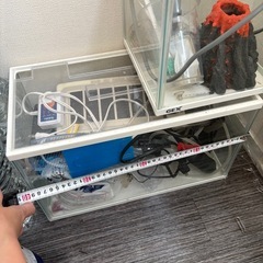 水槽の画像