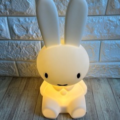 First Light ファーストライト　 Miffy ミッフィーの画像