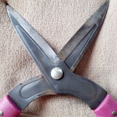 ✂️DCM 全鋼刈込挟 パープル ガーデニングの画像