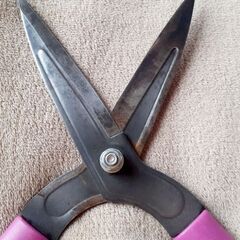 ✂️DCM 全鋼刈込挟 パープル ガーデニングの画像