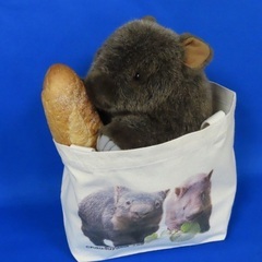 【長野・茶臼山動物園】モモコ・ウォレストートバッグが買いたい