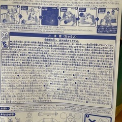 プーメリーの画像