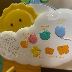 プーメリーの画像