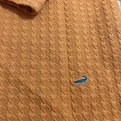 クロコダイルLL♦️秋にぴったり！ほぼ新品✨️試着のみ！レディース服カットソーの画像