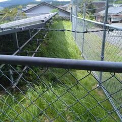 草、木お助けいたします。