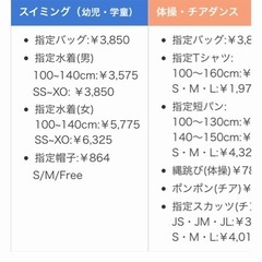 ウエルネススポーツセンタースイミングバッグの画像
