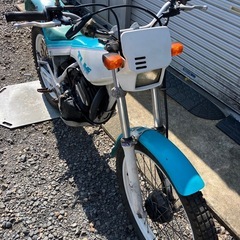 ホンダTLM200の画像