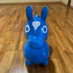 【決まりました】ロディ の画像