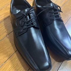 ハイドロテックの高機能ビジネスシューズ。の画像