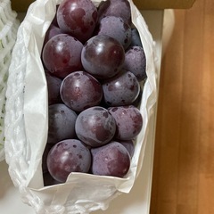 フルーツセットの画像
