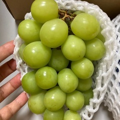 フルーツセットの画像