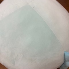 すみっコぐらし　とかげの画像