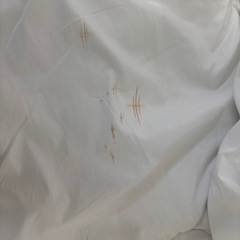 掛け布団、枕の画像