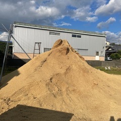 籾殻(無料)引き取ってくださる方、募集！の画像