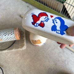 鳥籠　うずら飼育してましたの画像