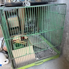 鳥籠　うずら飼育してましたの画像