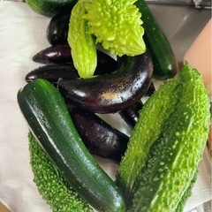 本日限定　野菜色々セットの画像