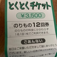生駒山上遊園地　とくとくチケット2枚の画像