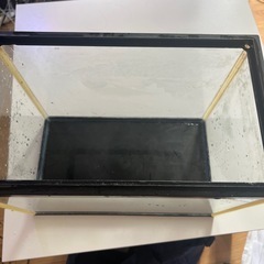 水槽横30cm
の画像