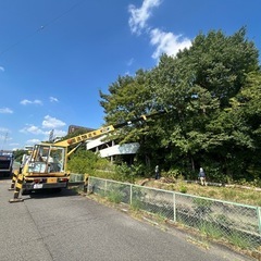 公園樹木など維持管理・庭師・伐採・草刈りの画像