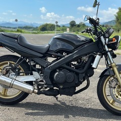 HONDA VT250 SPADAスパーダ　MC20 実働好調！自賠責令和9年7月まであり！引き取り早い方優先！の画像