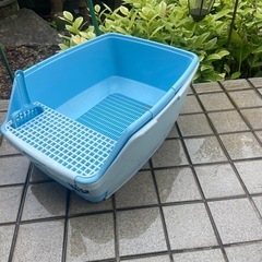 猫トイレの画像