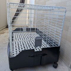 ウサギ、小動物小屋の画像
