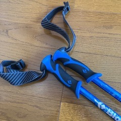 トレッキングポール　Black Diamond の画像