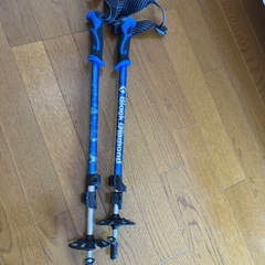 トレッキングポール　Black Diamond の画像