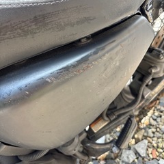 2010年式　xl883n アイアンの画像